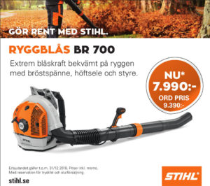 stihl-ryggblas-br-700